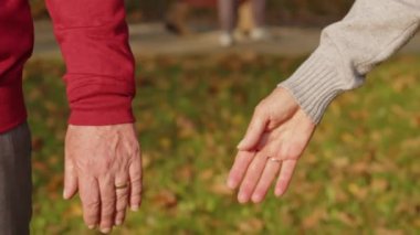 Sonbahar parkında el ele tutuşan yaşlı çift. Yakın çekim.