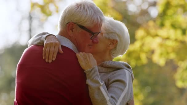 Yaşlı, emekli, beyaz bir erkek ve parkta bir kadın arasında sevgi dolu bir kucaklaşma.. — Stok video