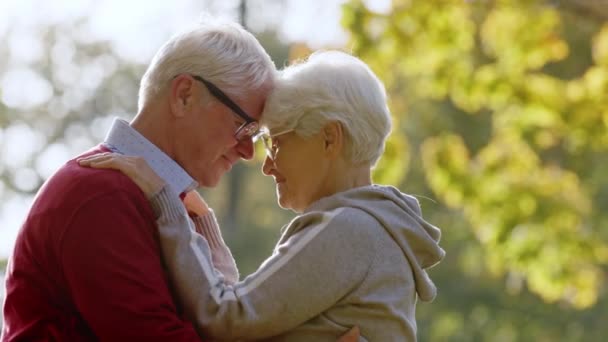 Zwei kaukasische ältere grauhaarige Menschen umarmen und berühren einander an der Stirn. — Stockvideo