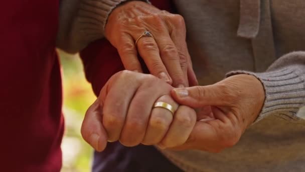 Senior Caucasien marié couple tenant les mains ensemble femme frotte ses maris main gros plan sélectif focus — Video