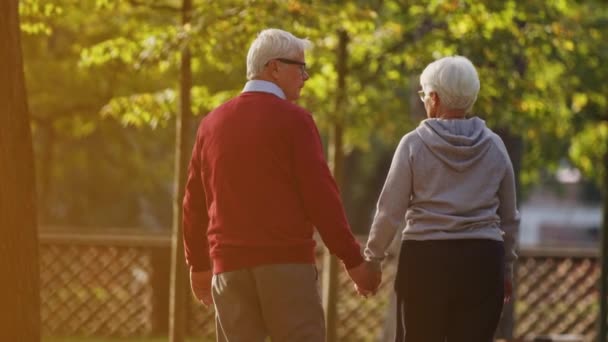 Senior couple caucasien passer du temps ensemble dans un parc dans l'après-midi tournage à partir de l'espace de copie foyer sélectif arrière — Video