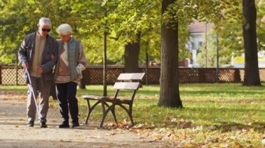 Yaşlı beyaz kadın engelli kocasına parkta önderlik ediyor engelliler konsepti destekliyor 