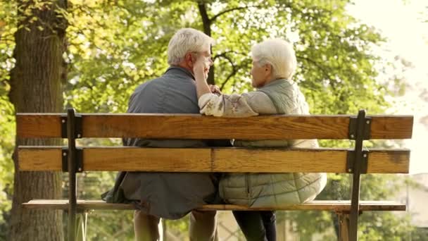 Concepto de bienestar de jubilación enfoque selectivo plano medio desde la espalda, pareja casada mayor sentada en el banquillo — Vídeo de stock
