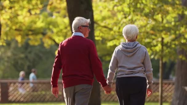 Senior Caucasian couple holding hands walking together in a park shooting from the back selective focus — Stock Video