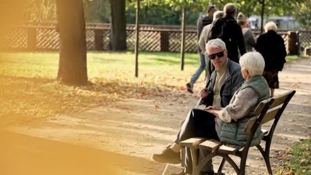 Ancianos pareja caucásica en el parque, marido discapacitado en gafas y un palo del parque enfoque selectivo espacio de copia de plano completo — Vídeos de Stock