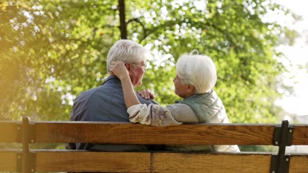 Ηλικιωμένοι παντρεύτηκε Καυκάσιος ζευγάρι κάθεται στον πάγκο στο πάρκο γυναίκα αγγίζοντας τους συζύγους του μαλλιά χαμογελώντας επιλεκτική εστίαση πορτρέτο τραβηγμένο από την πλάτη — Αρχείο Βίντεο