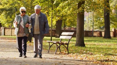 Kafkasyalı yaşlı bir adam kör karısına gözlüklü ve parktaki bir sopayla liderlik ediyor. Engelli rehabilitasyon konsepti. Seçici odak alanı. 