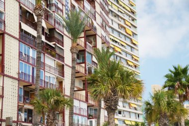 Palmiye ağaçlı otele yakından bak. Güneşli bulutlu gökyüzü.