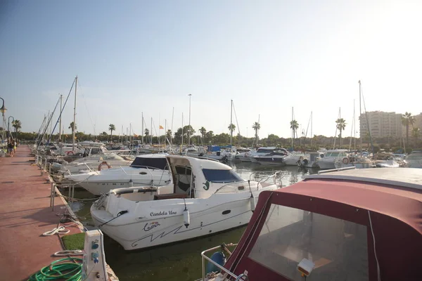 Stad Marine baai met schepen erin, palmbomen en gebouwen. — Stockfoto