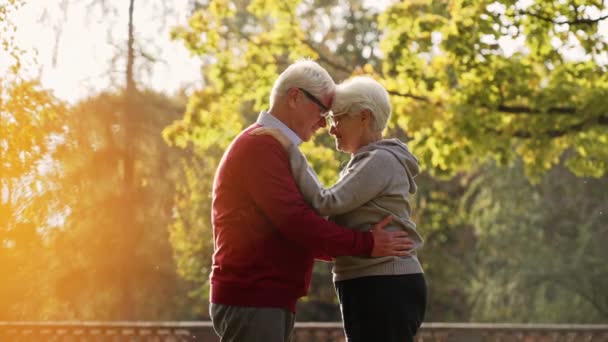 Пожилая кавказская пара обнимается в парке глядя на камеру пенсионного благополучия пожилых людей поддерживают концепцию селективного фокуса копирования космической съемки — стоковое видео