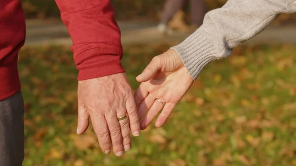 Kaukasische pensionierte Großeltern halten sich während ihres morgendlichen Spaziergangs im nahe gelegenen Park an den Händen. Herbstliche Szenerie. — Stockfoto