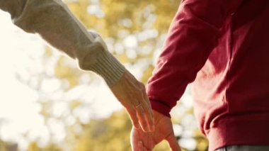 Elimi tut. Sonbaharda parkta yürürken el ele tutuşan Kafkas evli çiftin açık hava fotoğrafı..