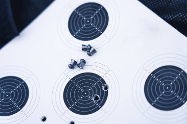 10.03.2021 Varşova, Polonya. Hava tabancası mermisi, karbondioksit kapsülü ve hedef. Mühimmat ve eğitim kavramı. 