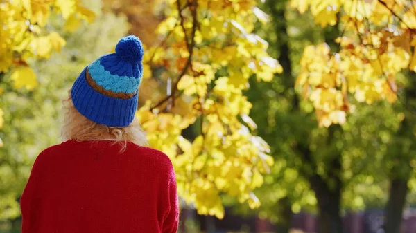 Outdoor-Herbst-Porträt eines rückwärts stehenden Mädchens mit lockigem blondem Haar. Rückansicht einer Person, die schöne Herbstblätter an den Bäumen betrachtet. — Stockfoto