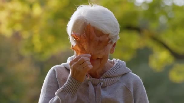 Peekaboo. Elderly pensioner gray-haired cheerful lady covering her face with a golden autumn yellow leaf. Outdoor activities and leisure time. — Vídeo de stock