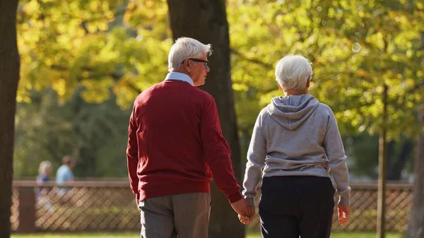 Ältere Europäische Eheleute Die Park Spazieren Gehen Händchen Haltend Schuss — Stockfoto