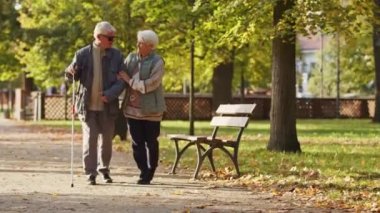  Kadın, bastonlu ve gözlüklü kör kocayla parkta dolanıyor. Yüksek kalite 4k görüntü