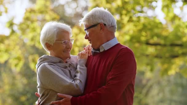 Orta Yaşlı Evli Insanlar Parkta Sarılıp Sohbet Ediyorlar Yüksek Kalite — Stok video
