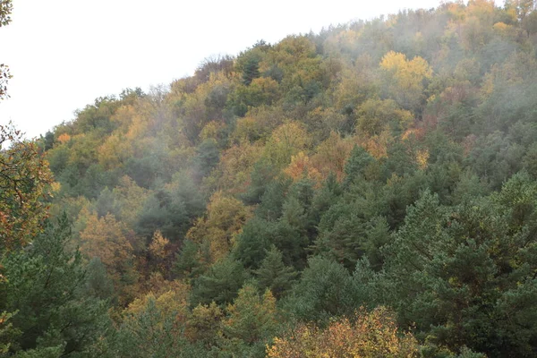 秋天的时候 高山上长满了五彩缤纷的树木 — 图库照片
