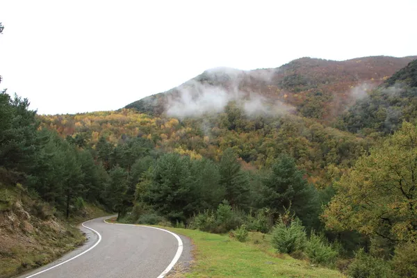 Piękna Panorama Drogi Jesiennym Czasie Pochmurny Dzień — Zdjęcie stockowe