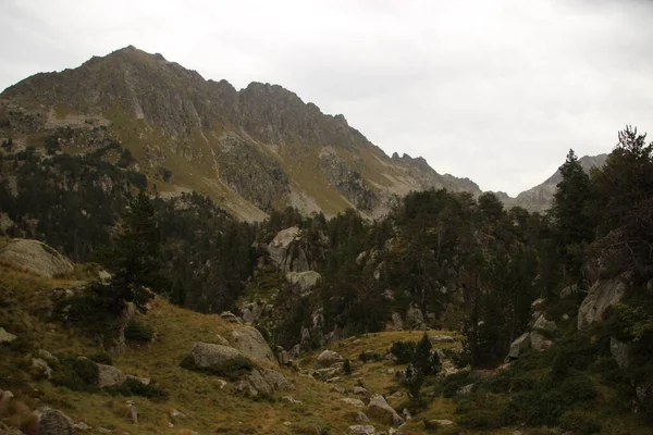 Montagne Pins Rochers Parc National Aiguestortes Colomers — Photo