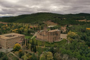Javier 'de duvarları ve şatonun birçok parçasını barındıran güzel bir kale.