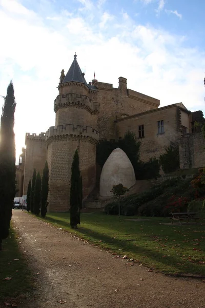 Castle Looks Fairy Tale Located Navarra Town Olite — стокове фото