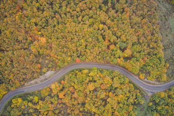 Camino Través Del Parque Natural Urbasa Finales Otoño — Foto de Stock