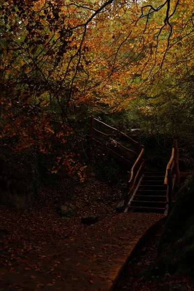 Wooden Path Source Urederra Autumn Fallen Leaves Trees — Stock Photo, Image