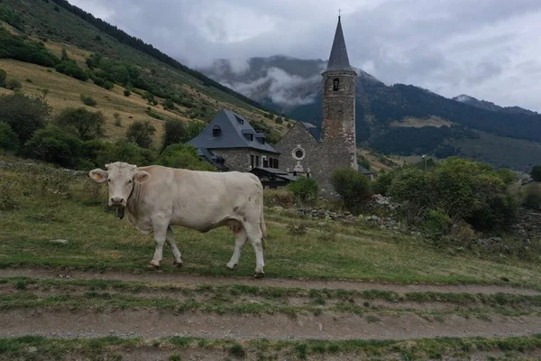 Mosteiro Montgarri Localizado Vall Aran Com Uma Vaca Posando Para — Fotografia de Stock