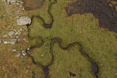 estuaries of a lagoon of colomers