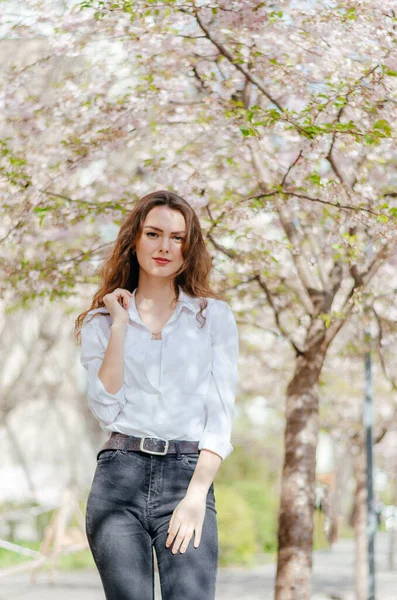 Girl White Shirt Stands Blossoming Sakura Spring — Foto de Stock