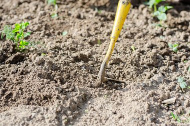 Bahçede bir çapa ve ellerle çalışmak