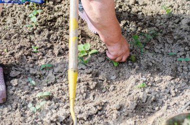 Bahçede bir çapa ve ellerle çalışmak