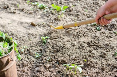 Bahçede bir çapa ve ellerle çalışmak