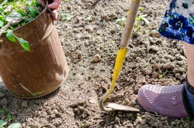 Bahçede bir çapa ve ellerle çalışmak