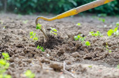 Bahçede bir çapa ve ellerle çalışmak