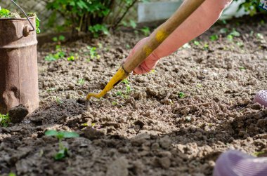 Bahçede bir çapa ve ellerle çalışmak