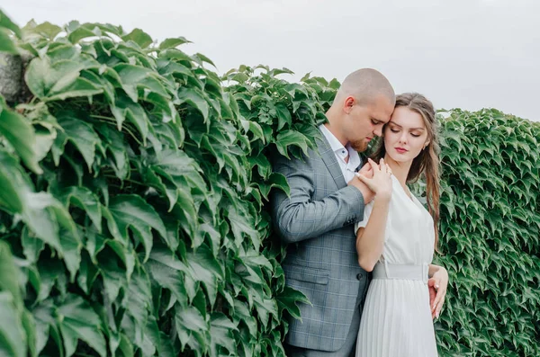 Novias Abrazándose Cerca Hojas Verdes —  Fotos de Stock