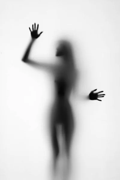 Silhouette of a beautiful sexy young woman — Stock Photo, Image