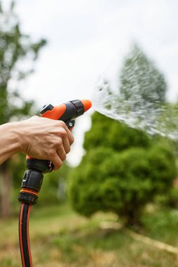 Hand holding water hose and watering plant in the garden in summer