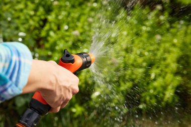 Yaz mevsiminde bahçede su hortumu ve bitkisi tutan el.