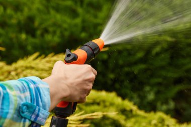 Yazın bahçede su hortumunu ve otları tutan el.