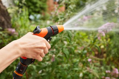 Hand holding water hose and watering flower in the garden in summer