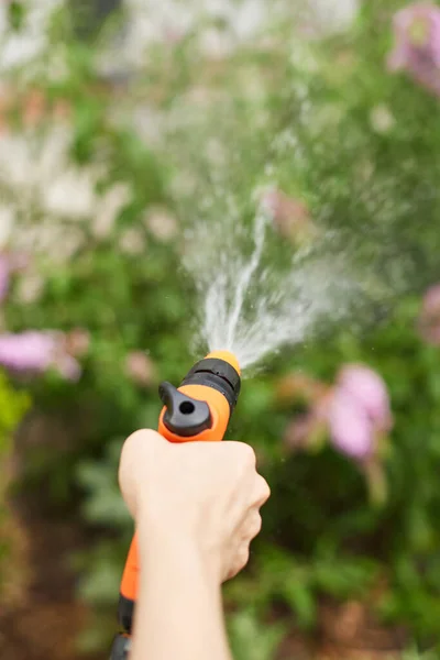 Woman Watering Flower Garden Summer — Foto de Stock