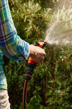 Yaz mevsiminde bahçede su hortumu ve bitkisi tutan el.