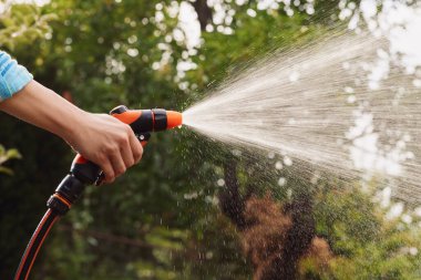 Yazın bahçede çiçek sulayan kadın.