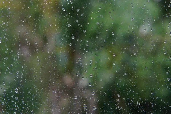 Pencere camında yağmur damlaları.