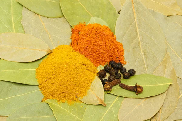 baharat. zerdeçal, siyah ve kırmızı biber, karanfil Defne yaprağı üzerinde.