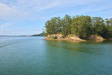 Kıyılarında bol bitki örtüsü olan bir nehrin güzel panoramik manzarası..